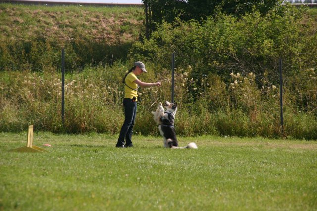 20120922_1992668750_img_7685