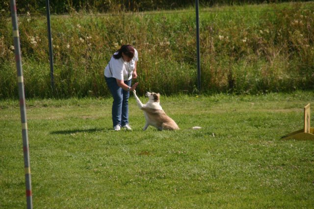 20120922_2061328327_img_7681