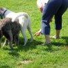 20120901_1750639033_dscn0403