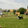 20120922_1014522647_img_7858