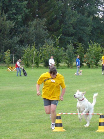 20080824_1358567146_3-sprung035
