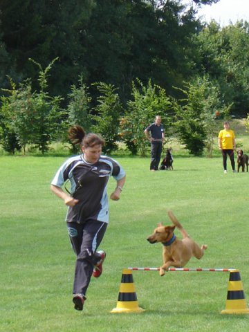 20080824_1790721635_3-sprung047