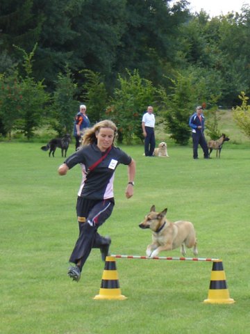 20080824_2067938135_3-sprung041