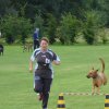 20080824_1440042221_3-sprung