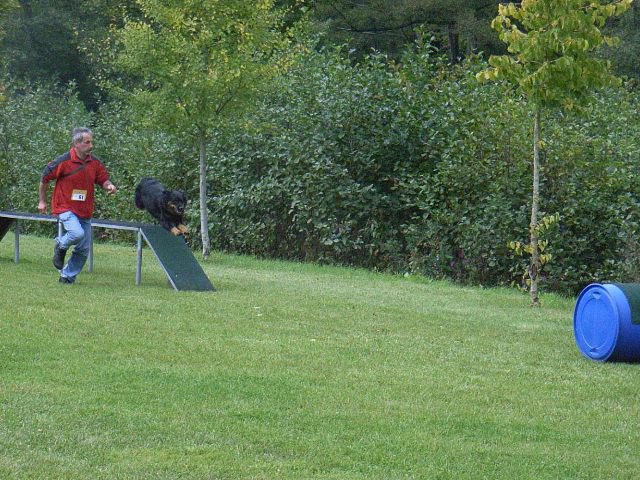 20081109_1064420947_rimg0306-klein