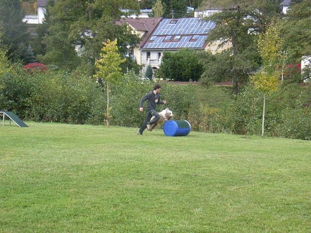 20081109_1196383578_rimg0216-klein