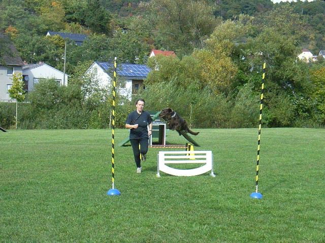 20081109_1276995605_rimg0462-klein