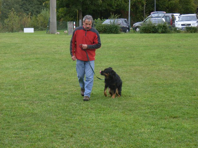 20081109_1555147902_rimg0074-klein