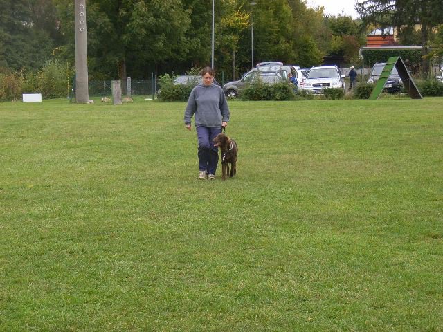20081109_1652455339_rimg0103-klein
