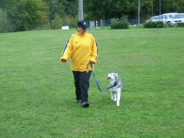 20081109_1754610600_rimg0009-klein