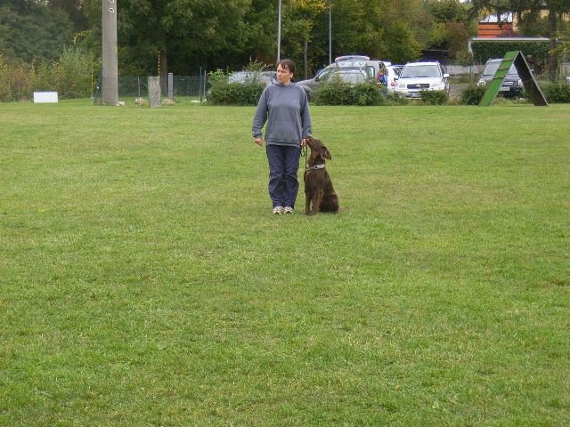 20081109_1880252228_rimg0104-klein