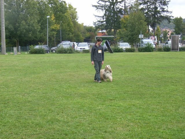 20081109_2041300455_rimg0171-klein