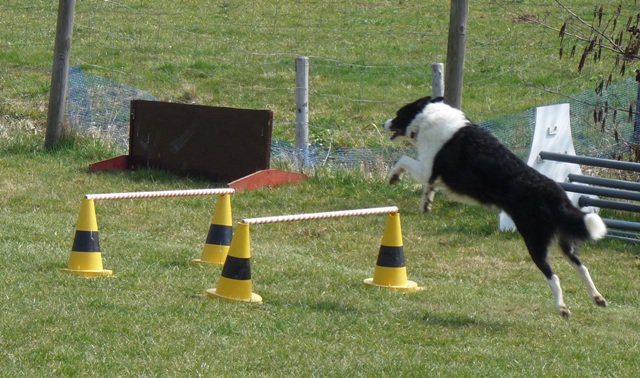 20090412_1456444680_nahla3