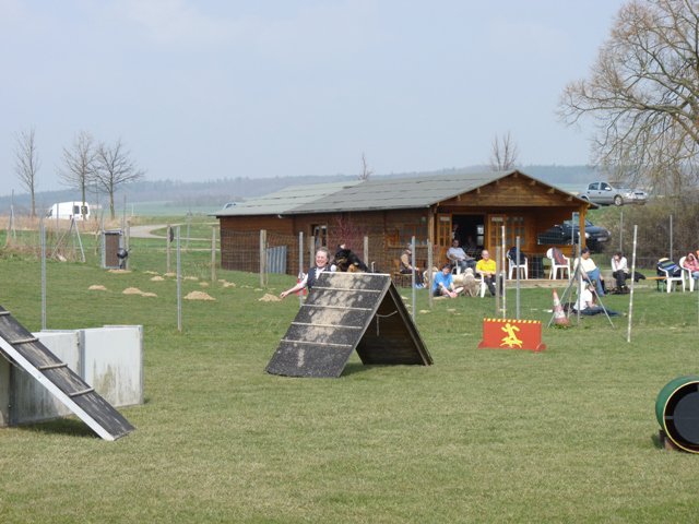 20090412_1568743046_shorty4
