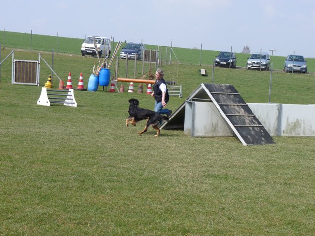20090412_1725133892_shorty12