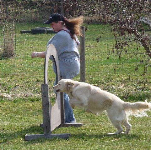 20090412_1961169280_aaron3