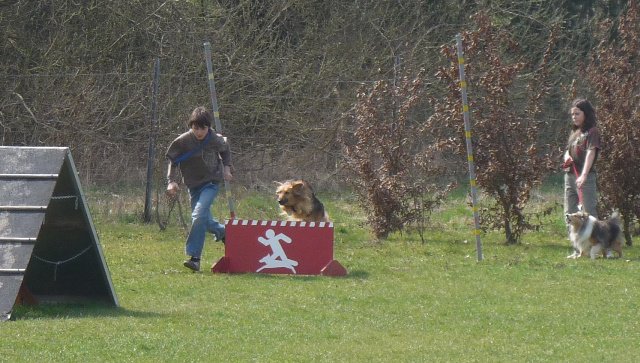 20090412_1990241855_tammy2
