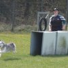 20090412_1354613195_sally