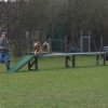20090412_1411332339_tammy
