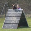 20090412_1572211050_lisa