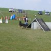 20090412_1725133892_shorty12