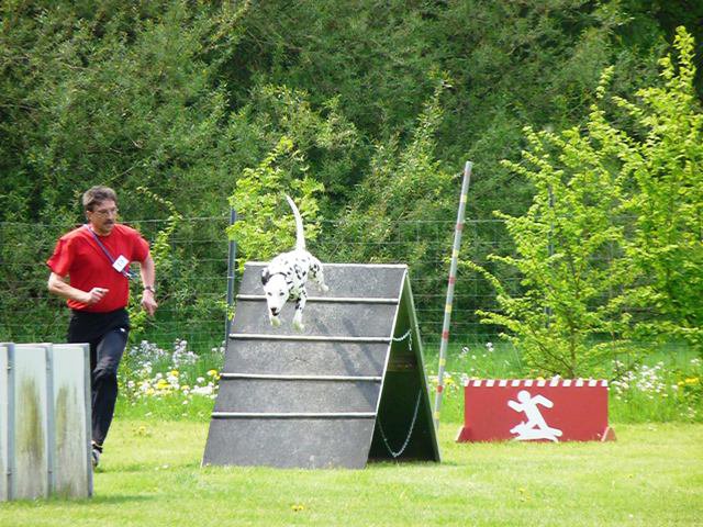 20090513_1203628953_km2009_572