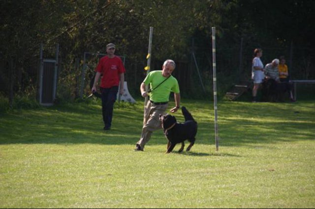 20111017_1151321236_bild18