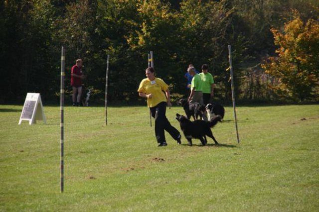 20111017_1219778066_bild27