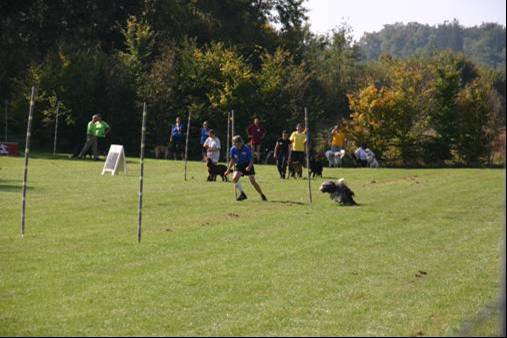 20111017_1357494734_bild12