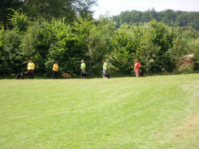 20120901_1058063795_dscn0284