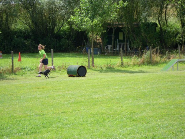 20120901_1231677617_dscn0274
