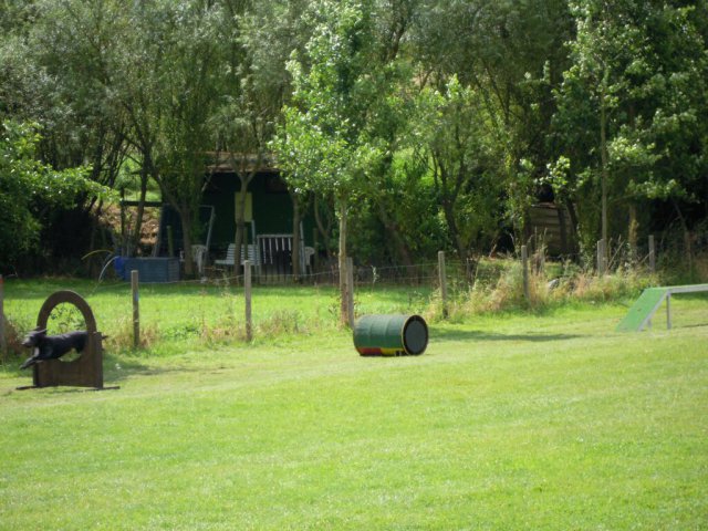 20120901_1406857798_dscn0282