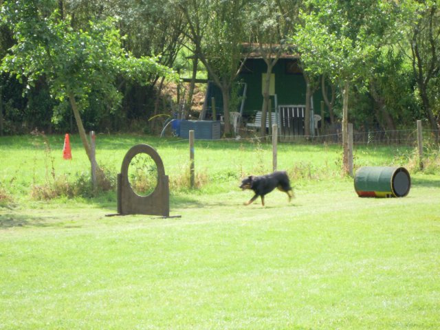 20120901_1751742266_dscn0290