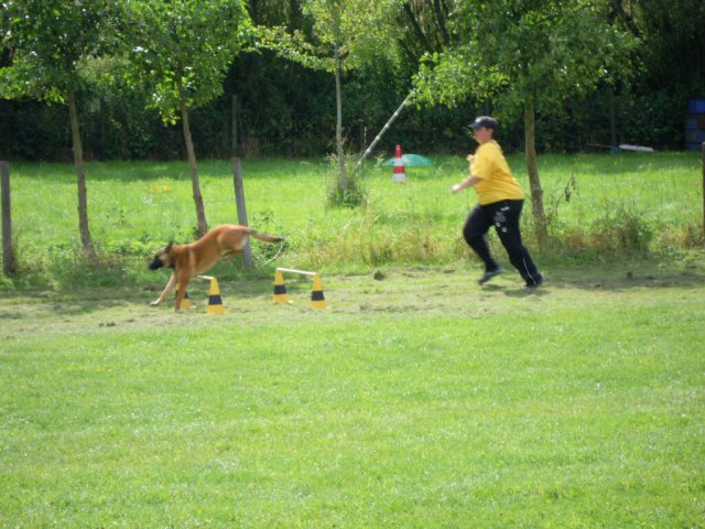 20120901_1866963981_dscn0276