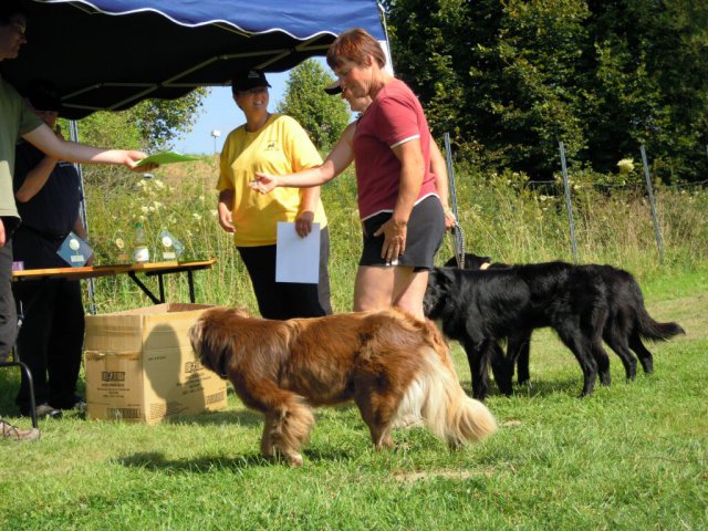20120901_1915587345_dscn0348