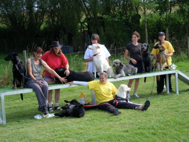 20120901_1942523560_dscn0370