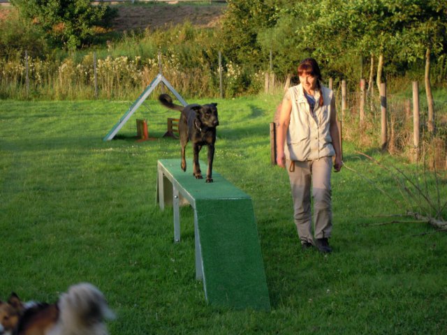 20120901_2043855842_dscn0267