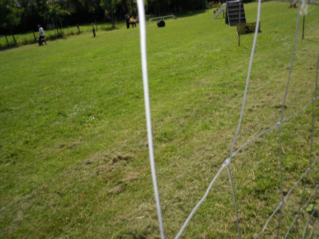 20120901_2067102152_dscn0296