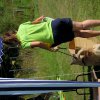 20120901_1031112516_dscn0320