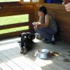 20120901_1037473384_dscn0375