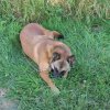 20120901_1054591463_dscn0355