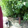 20120901_1135275056_dscn0312