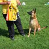 20120901_1418641134_dscn0364