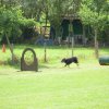 20120901_1751742266_dscn0290