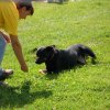 20120901_2059618846_dscn0395