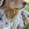 20141005_2010879612_k-img_0421