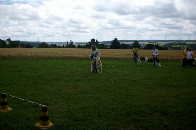 20120814_1374754381_dsci0403