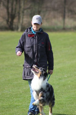 Begleithundeprüfung 08.04.2017