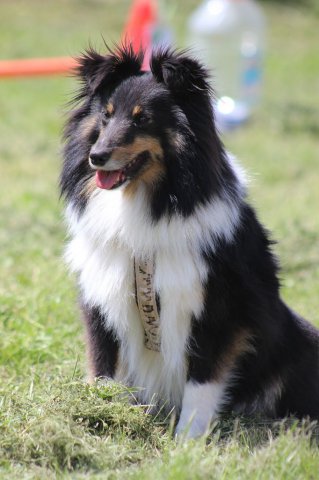 170610_Sommerfest