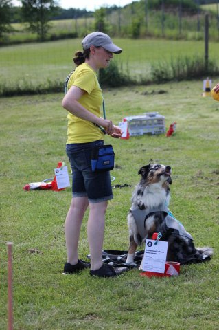 170610_Sommerfest